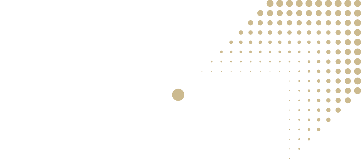 Travelside Logo fa